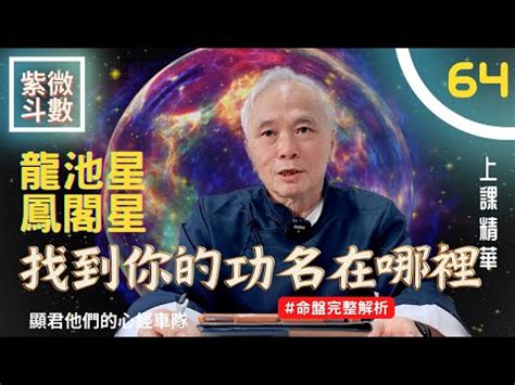 命宮龍池|紫微秘寶：解讀龍池星